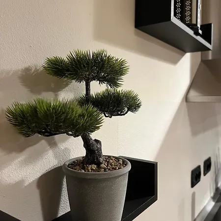 Station アパート